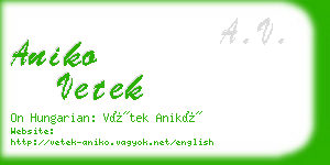 aniko vetek business card